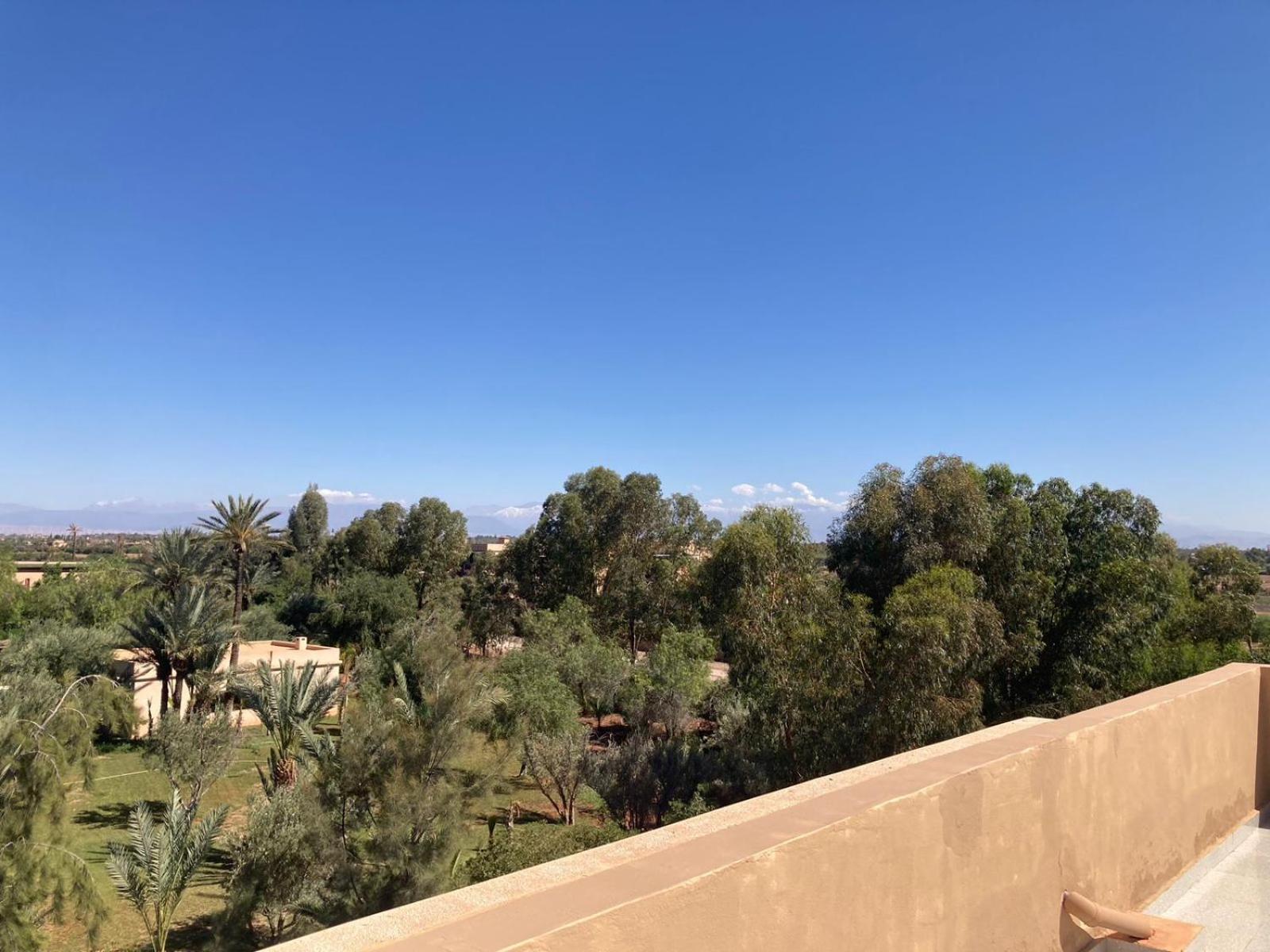Family Palms Luxe Villa Marrakech With Private Pool Marrakesch Zimmer foto